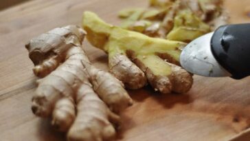 2514a1dee3bbfa9f86df967765bc499ba9ec369