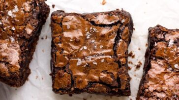the best cocoa fudge brownies baker by nature