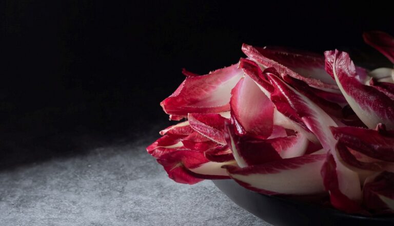 rollitos de achicoria