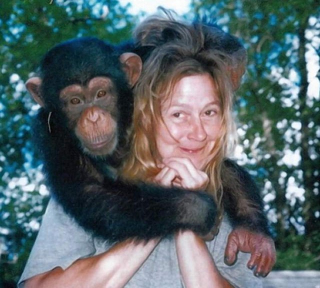 sandra y travis