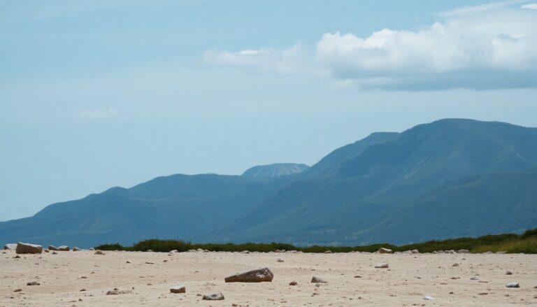 Diego Spagnuolo rechaza las acusaciones en la investigación de ANDIS