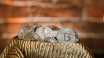 pexels rdne stock project 8370330