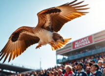 mefi laquila del ogc nice attira lattenzione prima della partita python 1759741329