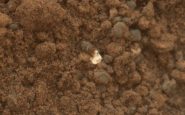 Objets sur Mars