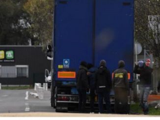 migrants conteneur rotterdam navire royaume uni