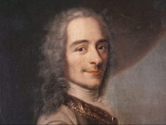 voltaire 1