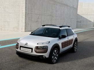 citroen cactus