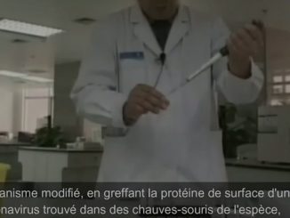 coronavirus tj italien 2015