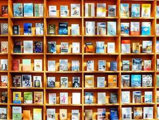 Acheter roman en ligne