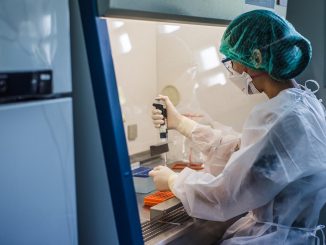 Coronavirus dans le monde OMS 