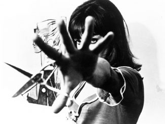 Analyse critique film Pierrot le fou