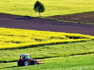 comptabilité agricole