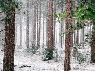 migrants grand froid calais
