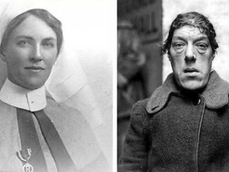 from beauty in the beast a