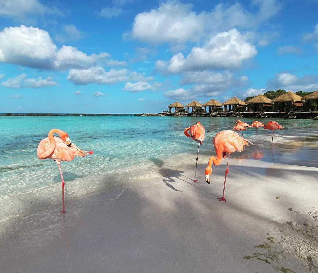 217402902 329802078627348 6773518332766935155 n