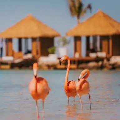 217723684 416101406313318 487323517344152801 n