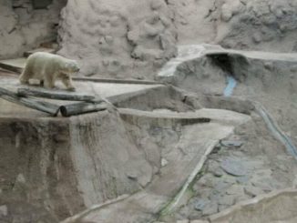 90288949 ae2c8375 9ddf 48bc b0ff b1e2da88e217 1152x576 1