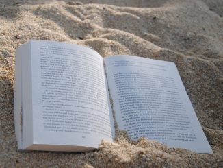 Livres de plage ce qu’il faut lire sous le parasol