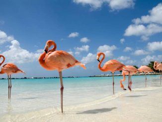 istock 000008252111 small 828x554 1