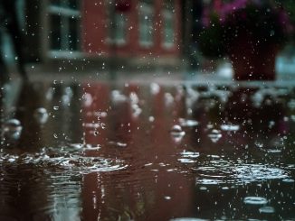 pexels vlad cheean 1529360