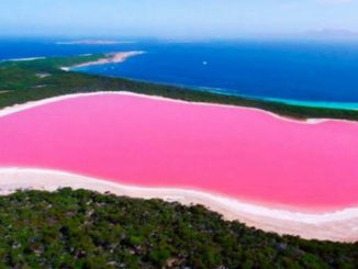 1490198041 lago rosado hiller 1490198041 1152x576 1