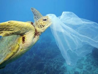 93991feb 82bf 4bda a770 d1449c765450 16 9 aspect ratio default 0