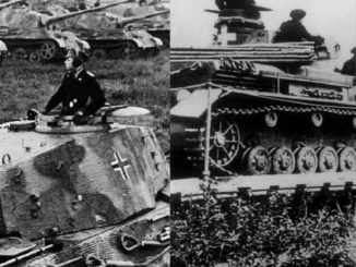 L'histoire touchante d'un garçon portant son frère pendant la Seconde Guerre mondiale