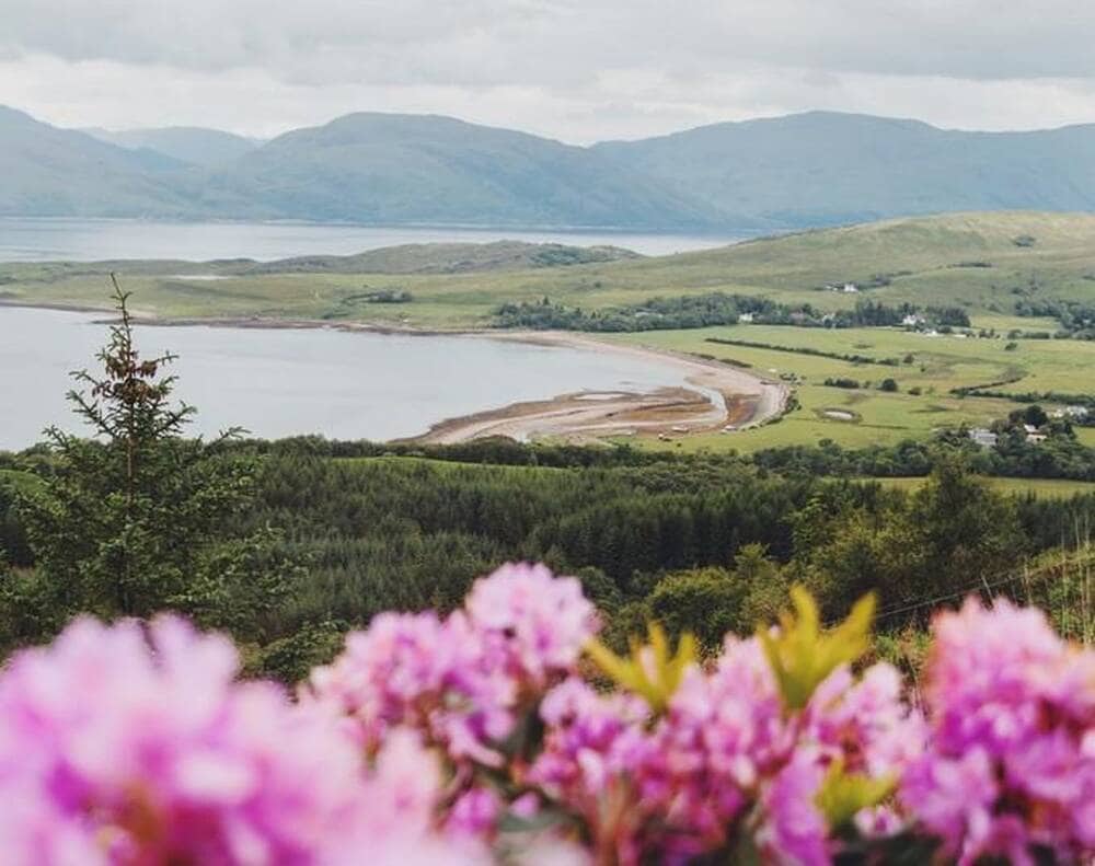 edd88950edbcca3e3f6b7590a20c24da 17034050