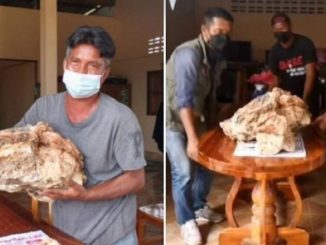 Un pêcheur trouve un bloc de vomi de baleine : une découverte d'un million de dollars