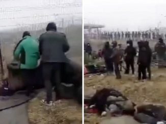 Biélorussie, des migrants franchissent la clôture et la frontière polonaise