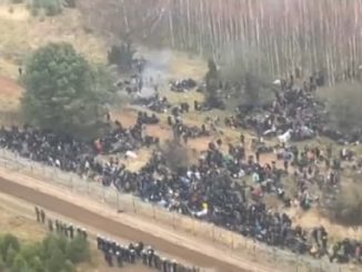 Migrants à la frontière entre la Pologne et le Biélorussie