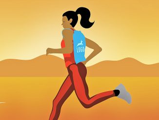 idées utiliser sac cadeau