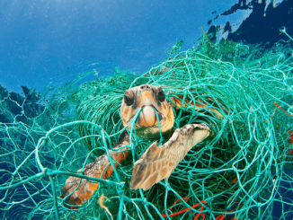 Pollution : États-Unis, le plus grand pollueur plastique au monde