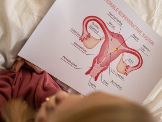 Le collectif féministe, cite la loi sur les cours d'éducation sexuelle à l'école