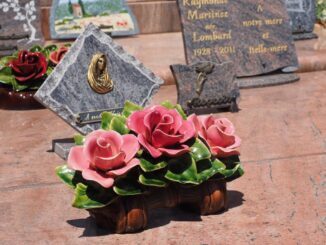 immagine 2023 09 15 103129