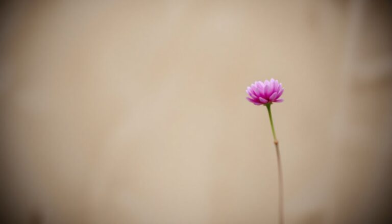 essentiele informatie over cryptovaluta en toezicht in nederland wat je moet weten 1765520722