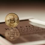 pexels jonathan borba 14348489