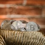 pexels rdne stock project 8370330