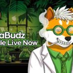 shiba budz budz investimentimagazineit