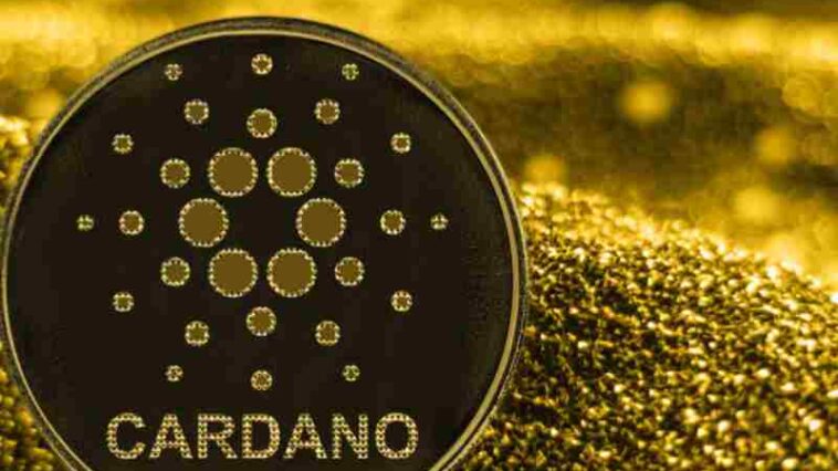 cardano investimentimagazineit