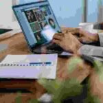 i 10 migliori lavori freelance del 2024 che puoi fare senza abilita o esperienza