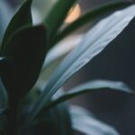 innovacao fintech e implicacoes da crise del 2008 1760881160