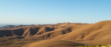 xp intensifica a supervisao e melhoria dos consultores financeiros 1765007627