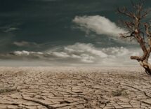 desertification