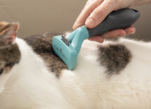 cat brush