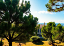 scoprire il giardino dei pini un modello di ospitalita sostenibile python 1755595847