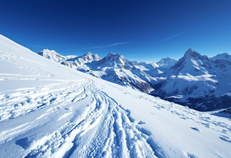 Federica Brignone in azione durante la gara di gigante ad Aare