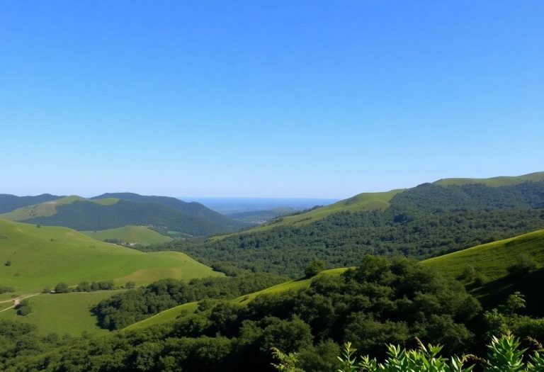 1216x832 11 13 00 24 421222363