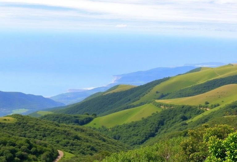 1216x832 12 15 30 28 204583199