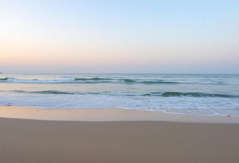 1216x832 17 20 45 26 658460908